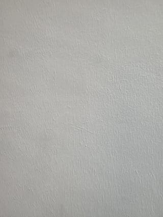 استاد سلیمی